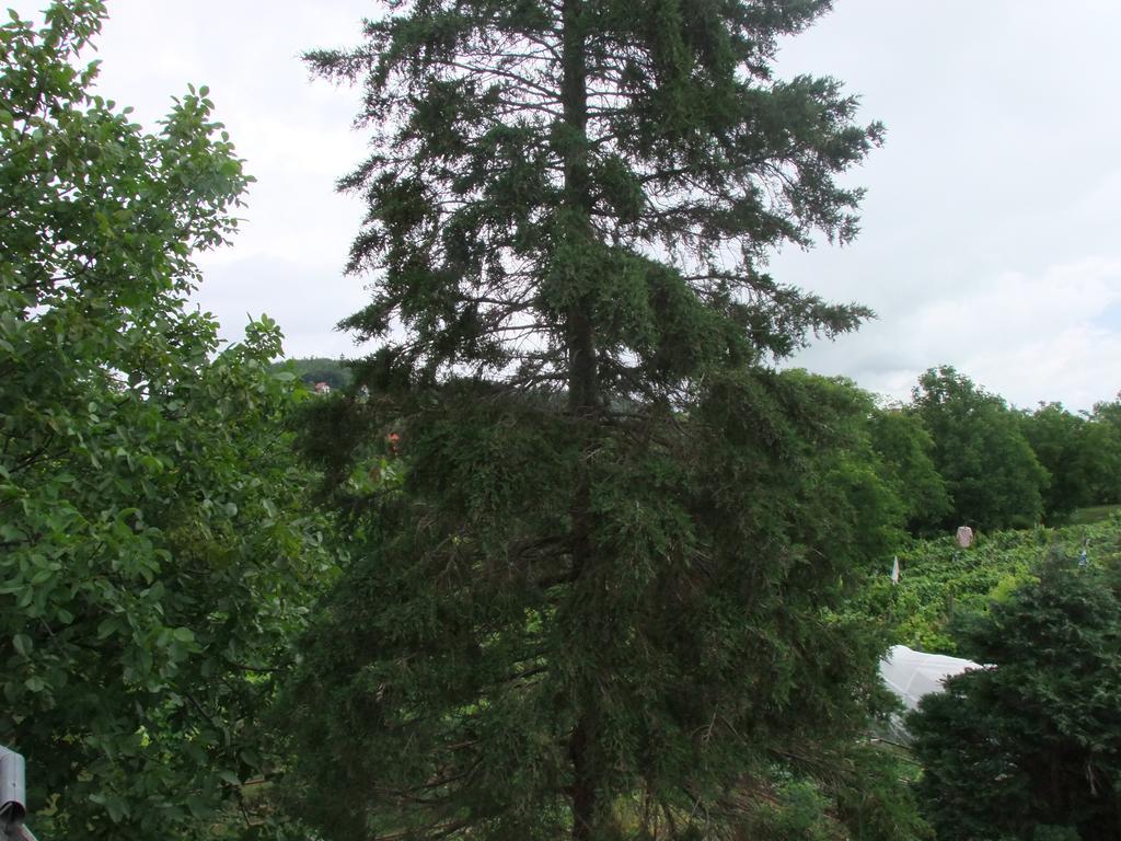 Levente Apartman Balatongyörök Esterno foto